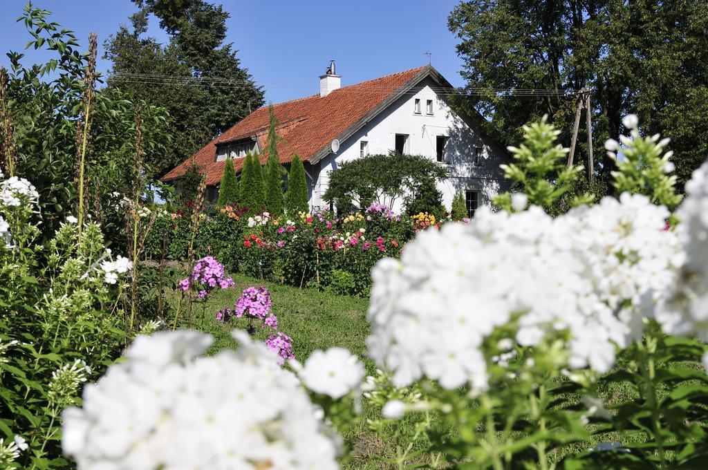 Agroturystyka Orzechowe Wzgorze Orzechowo  Екстериор снимка